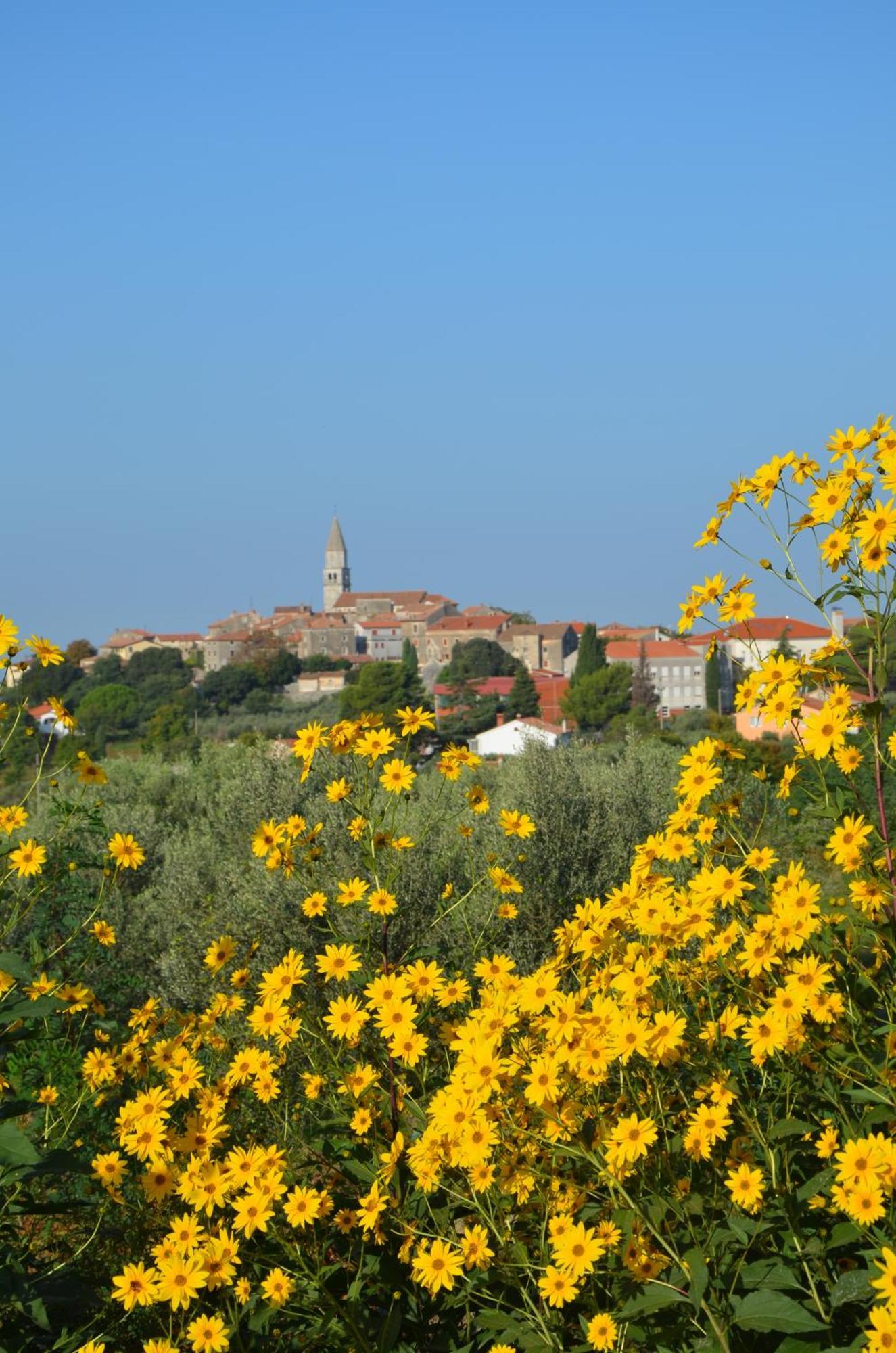 Villa Leopoldo By Istrian Country Houses Барат Экстерьер фото